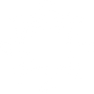 gear-icon-white